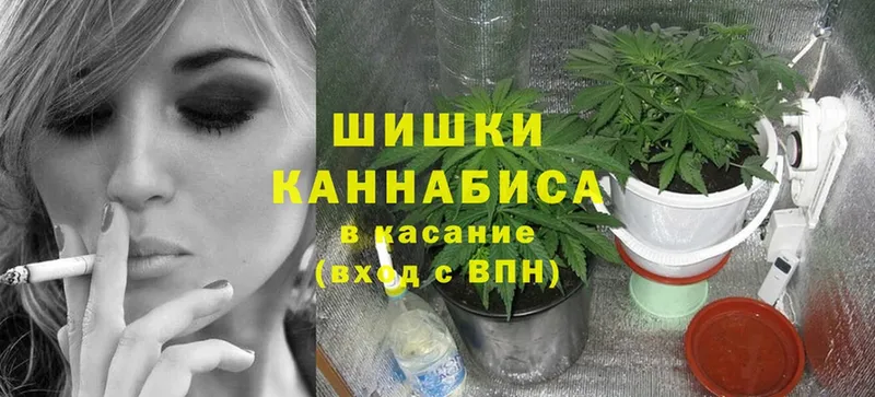 Шишки марихуана индика  дарк нет как зайти  Вяземский  хочу  